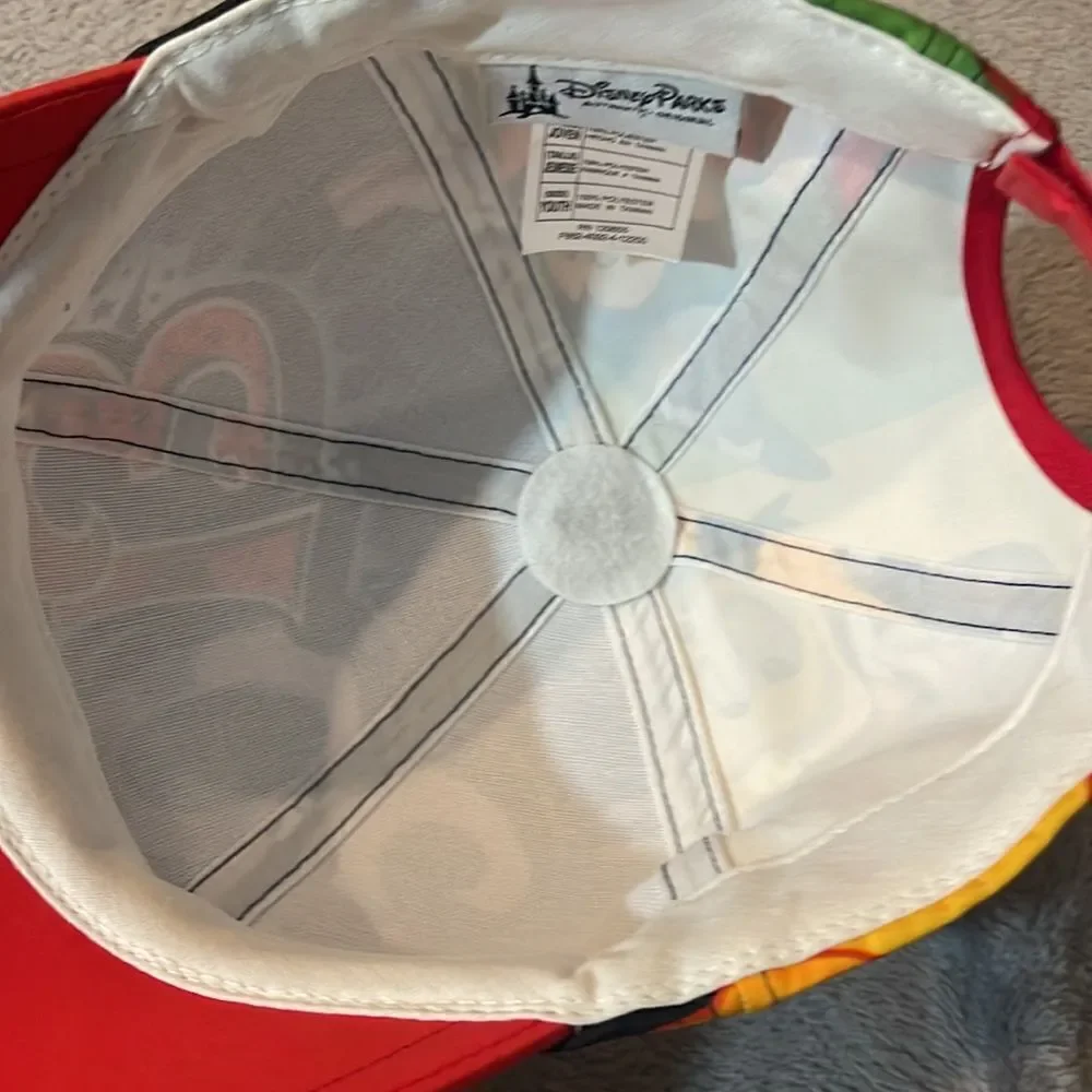 Walt Disney world 2013 youth Hat